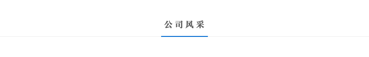 公司风采