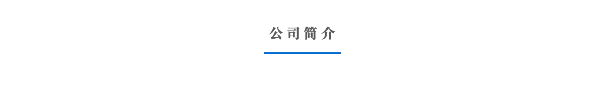 公司简介